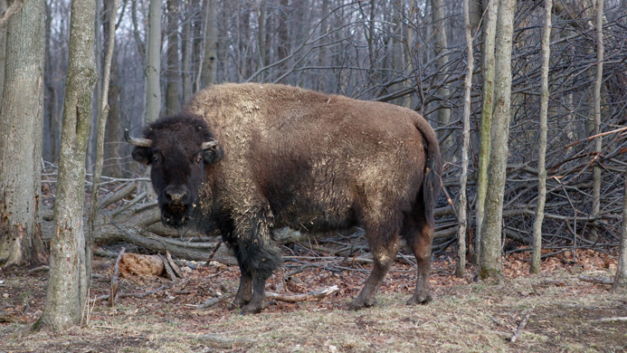 Something Other Than Its Own Mass